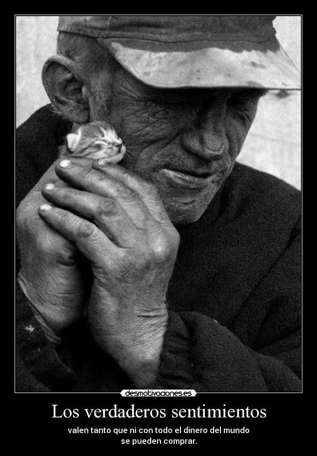 carteles sentimientos mediometro dicen que dios ahora pero nino como aprieta desmotivaciones