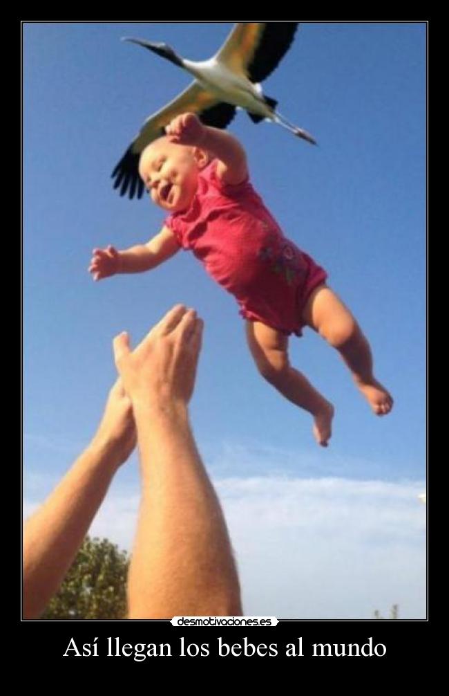 Así llegan los bebes al mundo -