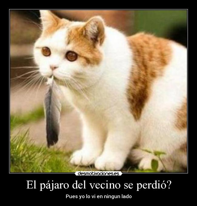 carteles pppp desmotivaciones