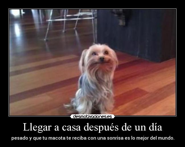 carteles casa jjjj desmotivaciones