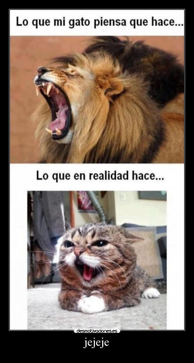 carteles gatosjejeje desmotivaciones