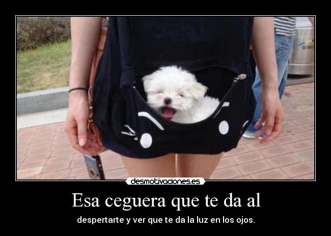 Esa ceguera que te da al -