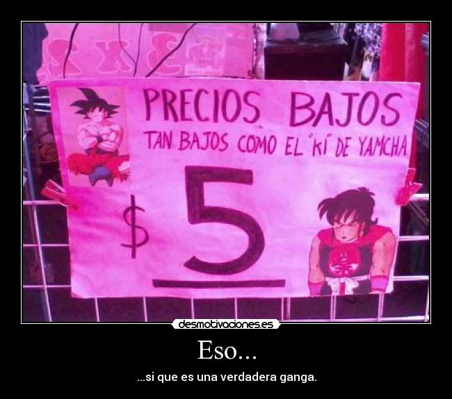 Eso... - ...si que es una verdadera ganga.