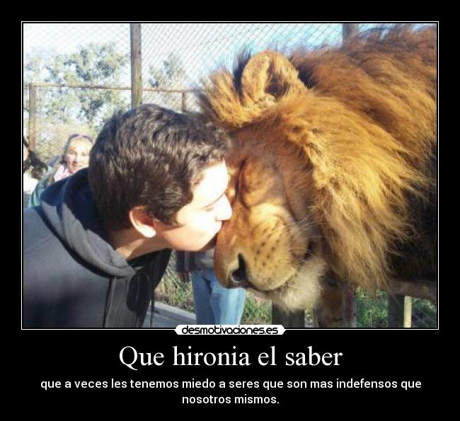 Que hironia el saber - que a veces les tenemos miedo a seres que son mas indefensos que nosotros mismos.