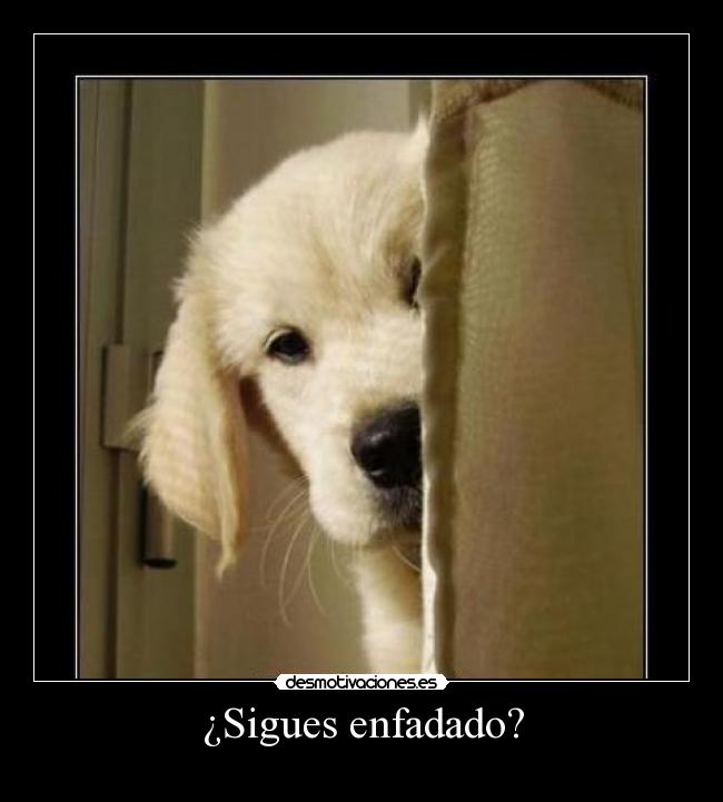 ¿Sigues enfadado? -