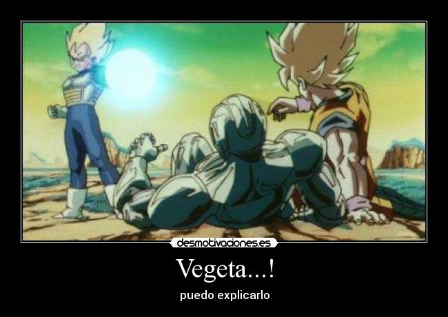 Vegeta...! -