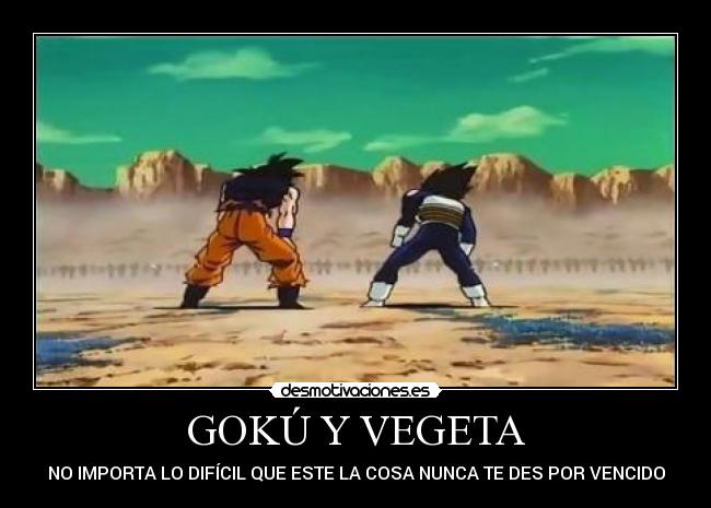 GOKÚ Y VEGETA -