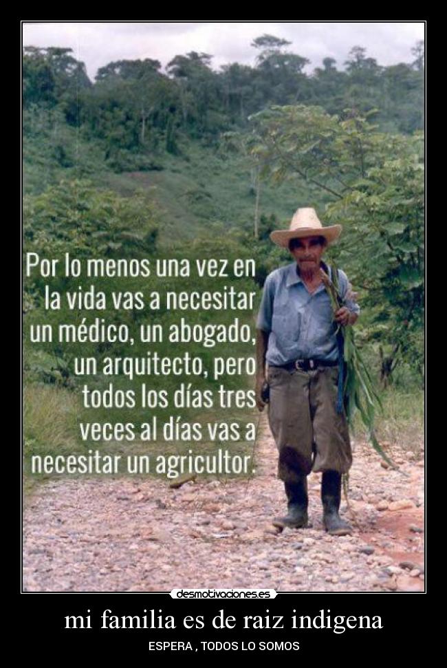 carteles familia lagrimas desmotivaciones