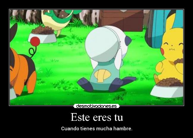 carteles pokemon anime anime otaku hambre pokemon risas cierto oshawott desmotivaciones