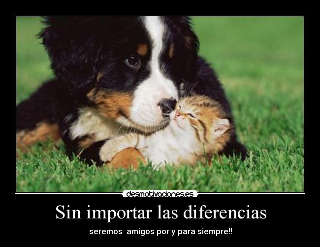 carteles amistad desmotivaciones