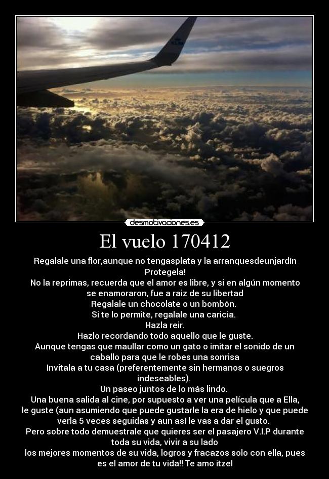 carteles vuelos desmotivaciones