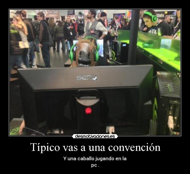 Típico vas a una convención - Y una caballo jugando en la
pc .