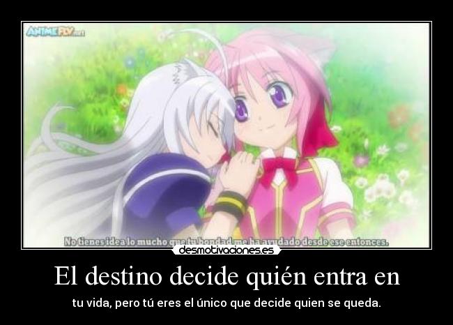 carteles destino amistad amor yuri leonmichelle gallete dogdays anime millhiorie biscotti manga desmotivaciones