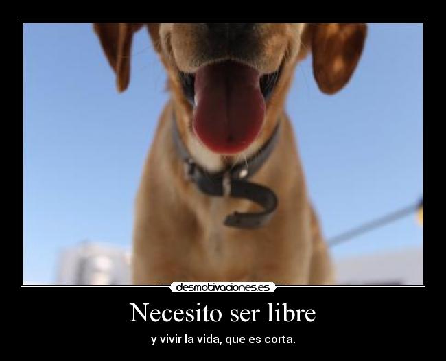 Necesito ser libre - y vivir la vida, que es corta.