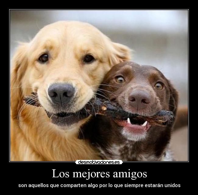 Los mejores amigos -