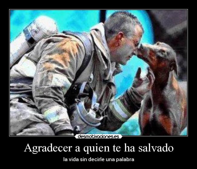 Agradecer a quien te ha salvado - 