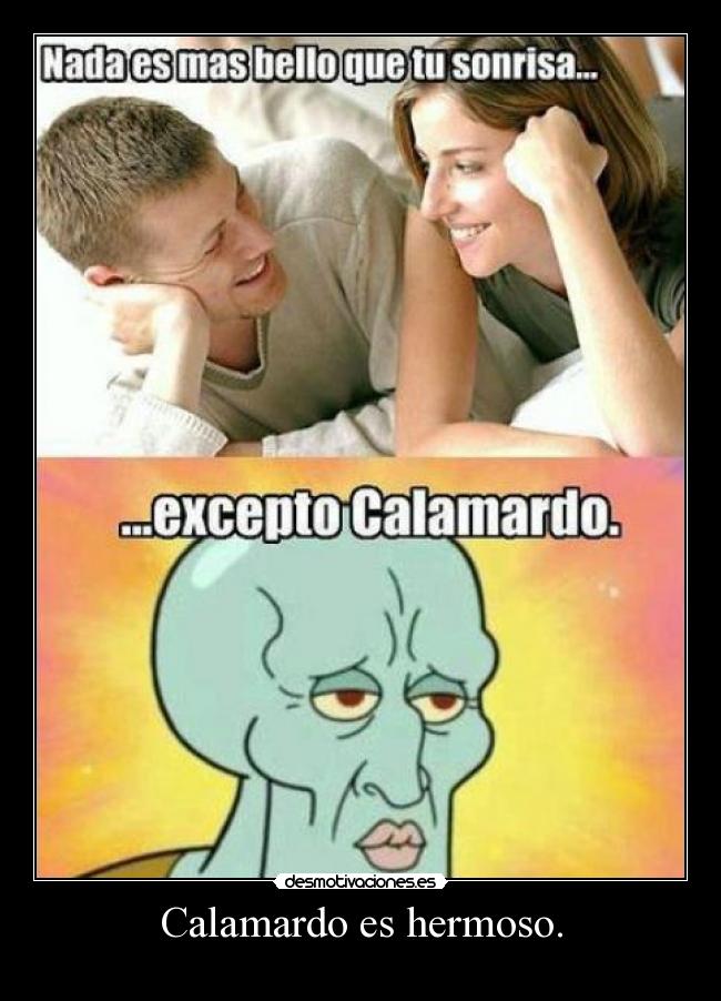 Calamardo es hermoso. - 