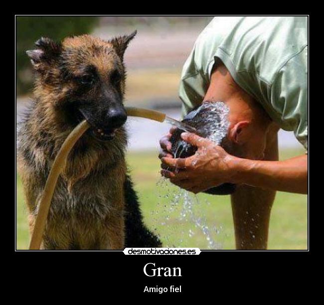 Gran - Amigo fiel