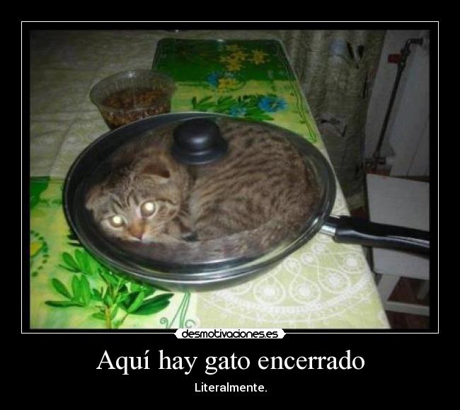 Aquí hay gato encerrado - 