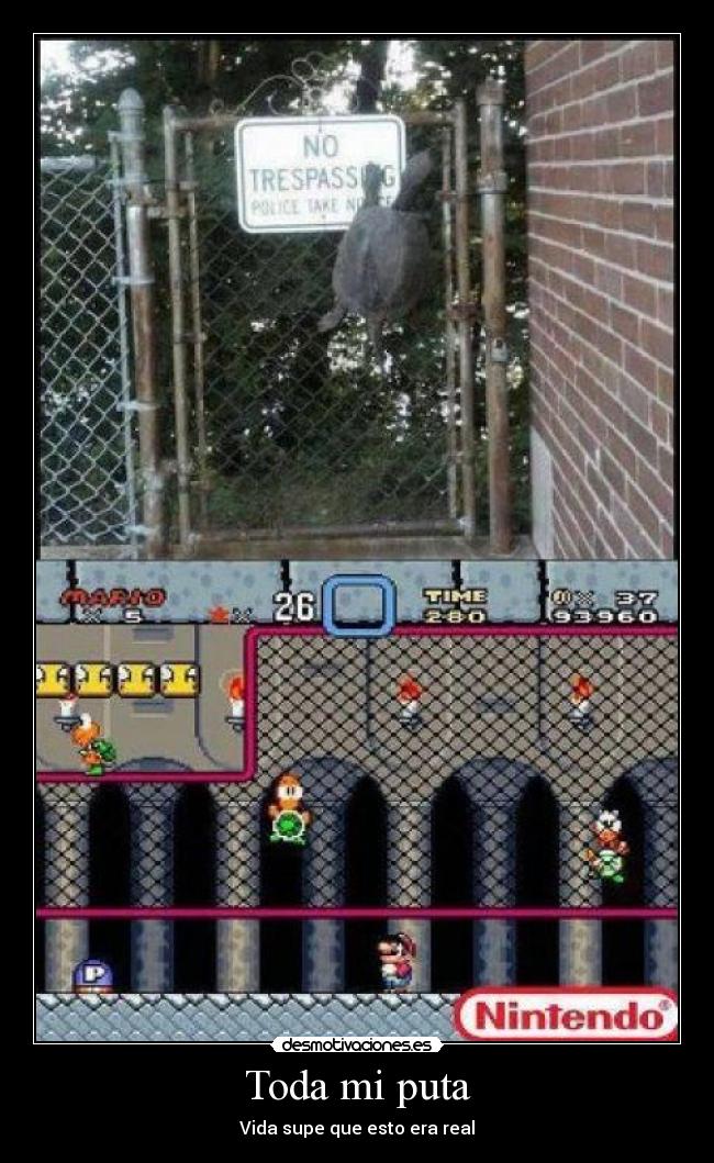 Toda mi puta - Vida supe que esto era real