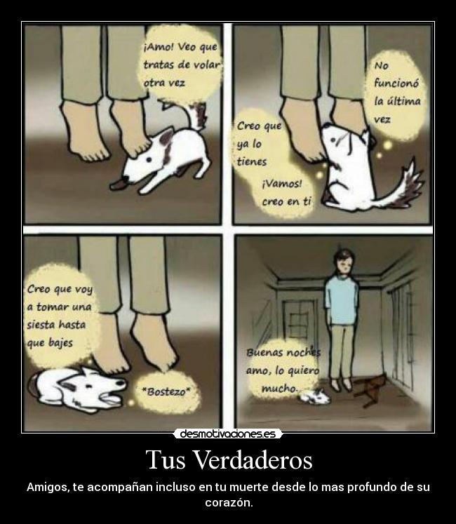 Tus Verdaderos - Amigos, te acompañan incluso en tu muerte desde lo mas profundo de su corazón.