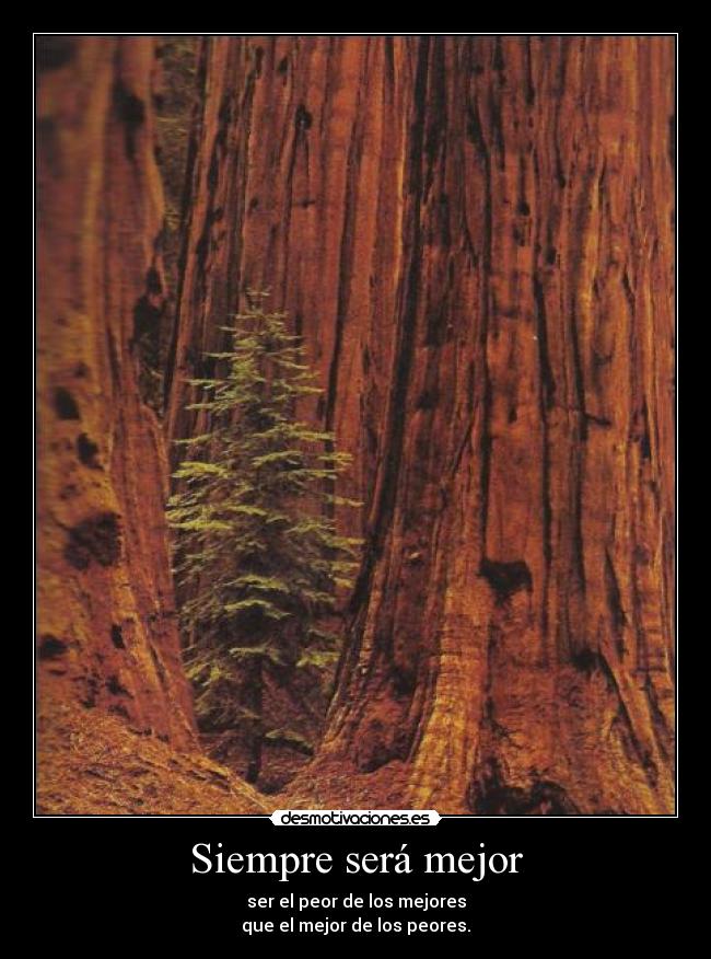 Siempre será mejor - ser el peor de los mejores
que el mejor de los peores.