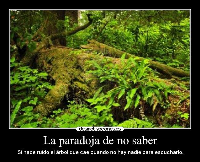 La paradoja de no saber - Si hace ruido el árbol que cae cuando no hay nadie para escucharlo.