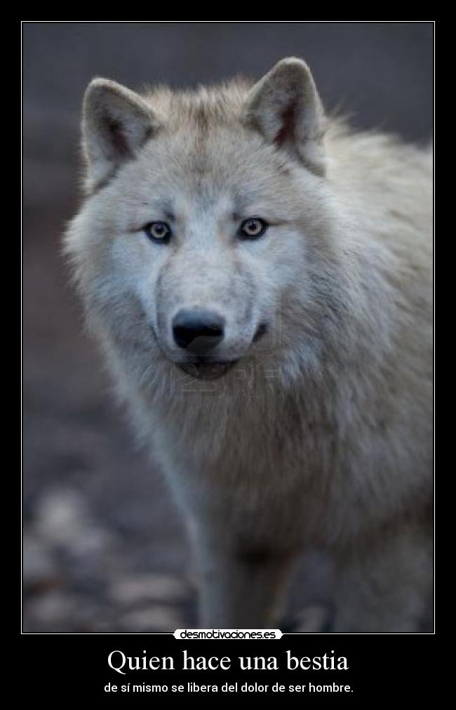 Quien hace una bestia - de sí mismo se libera del dolor de ser hombre.