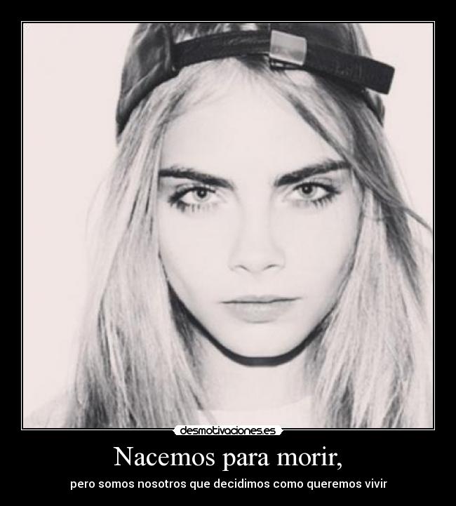 carteles vive disfruta desmotivaciones