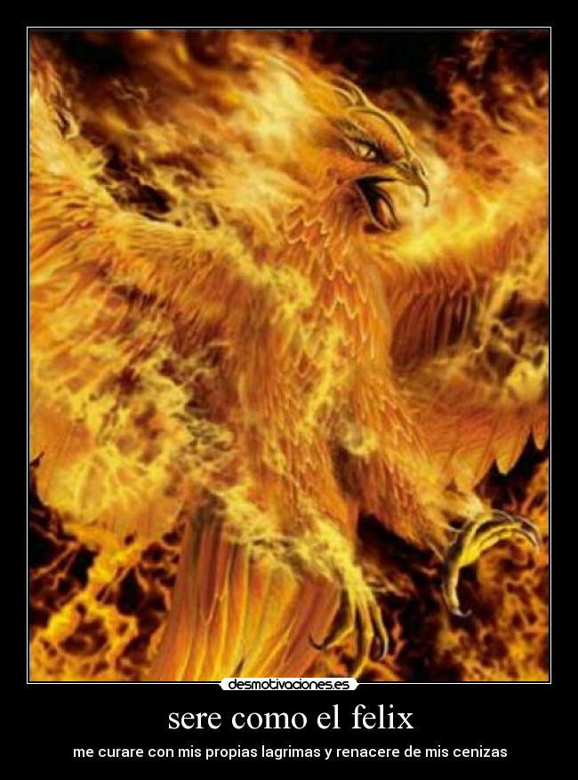 sere como el felix - me curare con mis propias lagrimas y renacere de mis cenizas