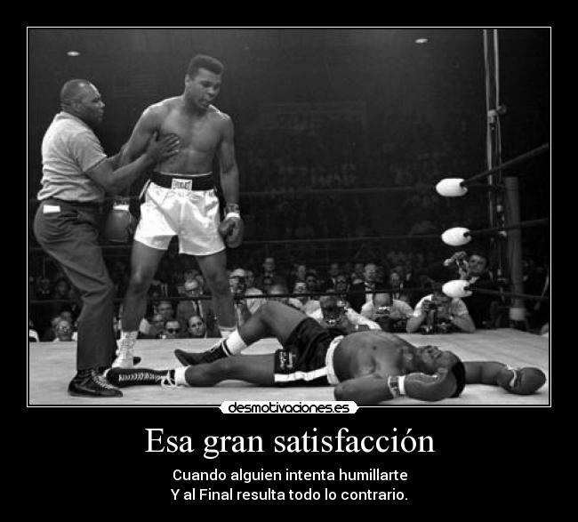 Esa gran satisfacción - 