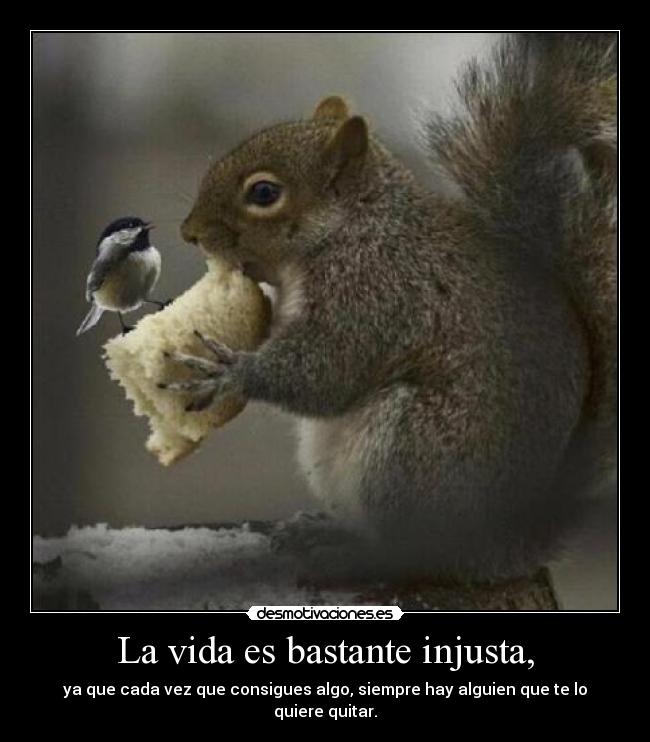 La vida es bastante injusta, -