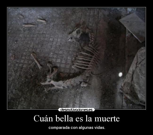 carteles muerte rumpelstiltskin desmotivaciones