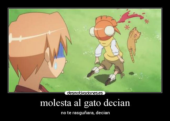 molesta al gato decian - no te rasguñara, decian