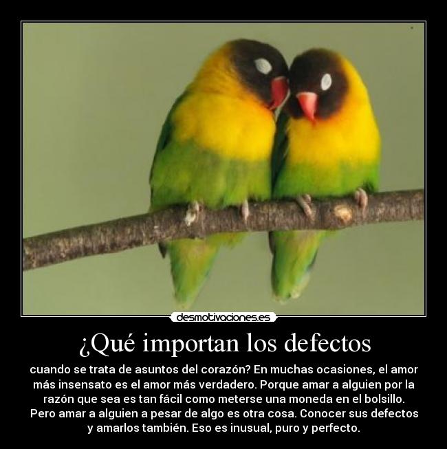 carteles amorincondicional desmotivaciones