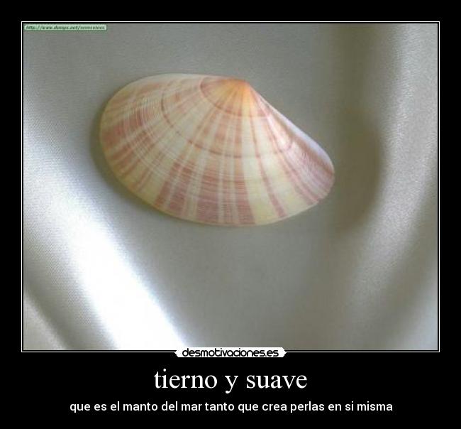 tierno y suave - que es el manto del mar tanto que crea perlas en si misma