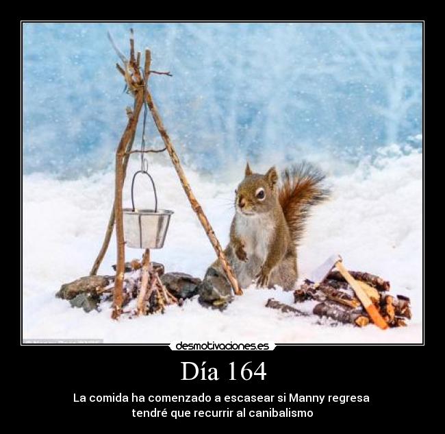 Día 164 -
