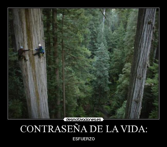 CONTRASEÑA DE LA VIDA: -