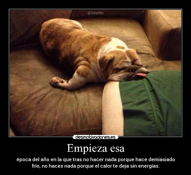 Empieza esa - época del año en la que tras no hacer nada porque hace demiasiado
frío, no haces nada porque el calor te deja sin energías.