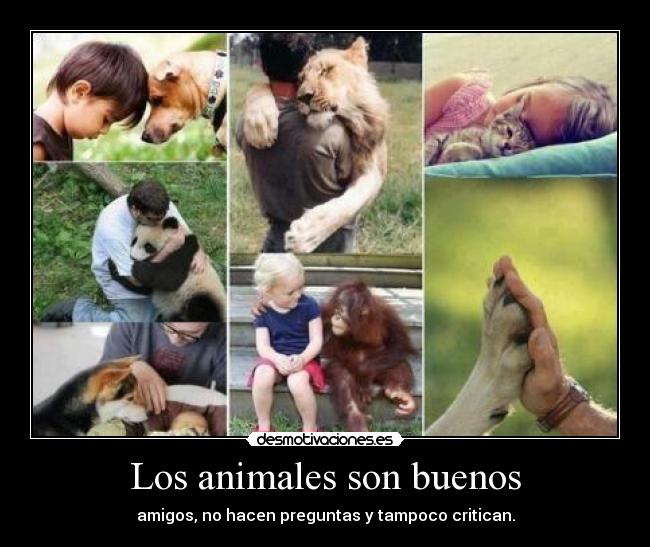 Los animales son buenos -