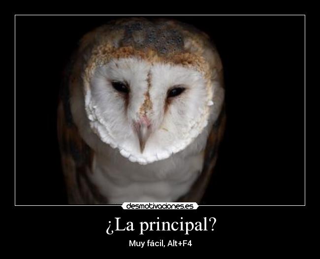 ¿La principal? - 