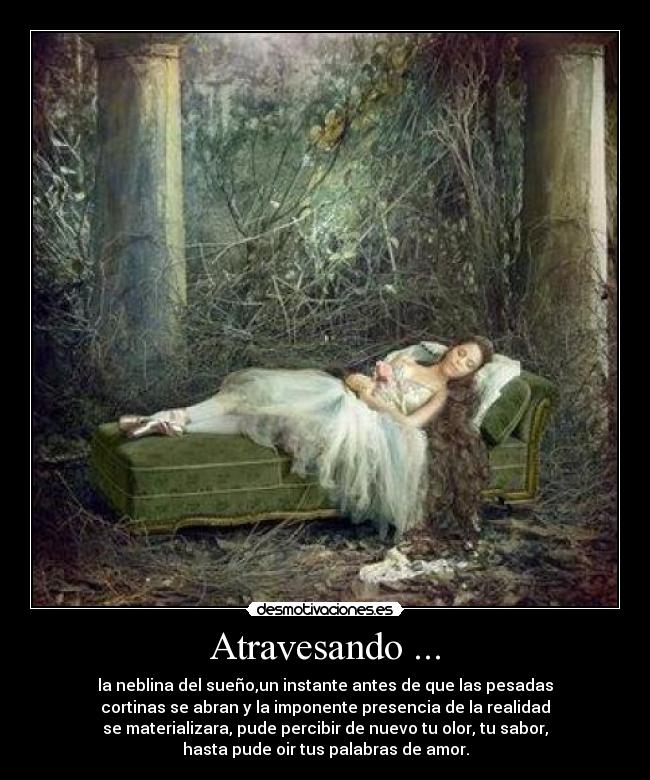 Atravesando ... - la neblina del sueño,un instante antes de que las pesadas
cortinas se abran y la imponente presencia de la realidad
se materializara, pude percibir de nuevo tu olor, tu sabor,
hasta pude oir tus palabras de amor.