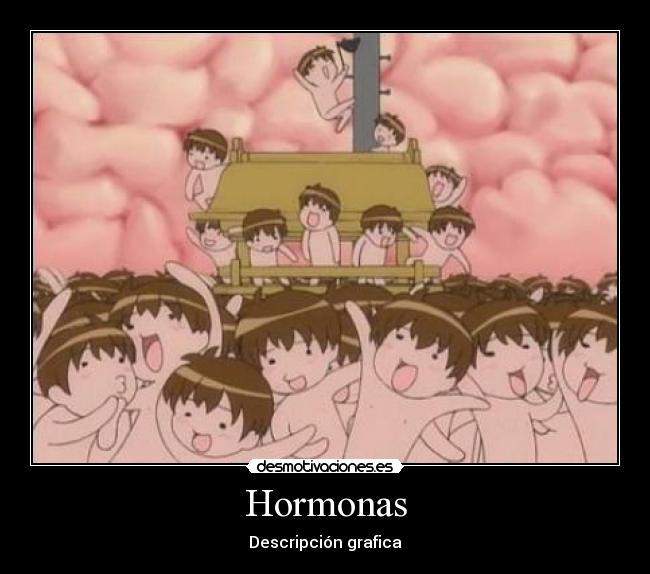 Hormonas - Descripción grafica