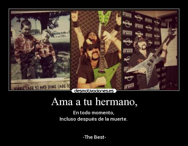 carteles vinnie paul dimebag darrell desmotivaciones