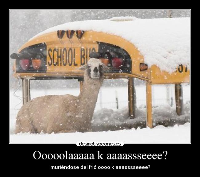 Ooooolaaaaa k aaaassseeee? - muriéndose del frió oooo k aaasssseeee?