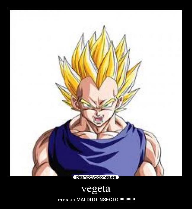 vegeta - eres un MALDITO INSECTO!!!!!!!!!!!!!!
