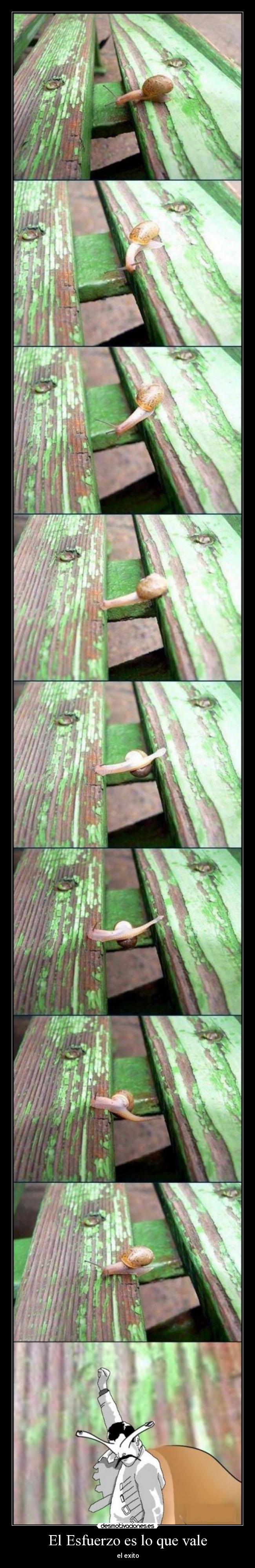 El Esfuerzo es lo que vale -