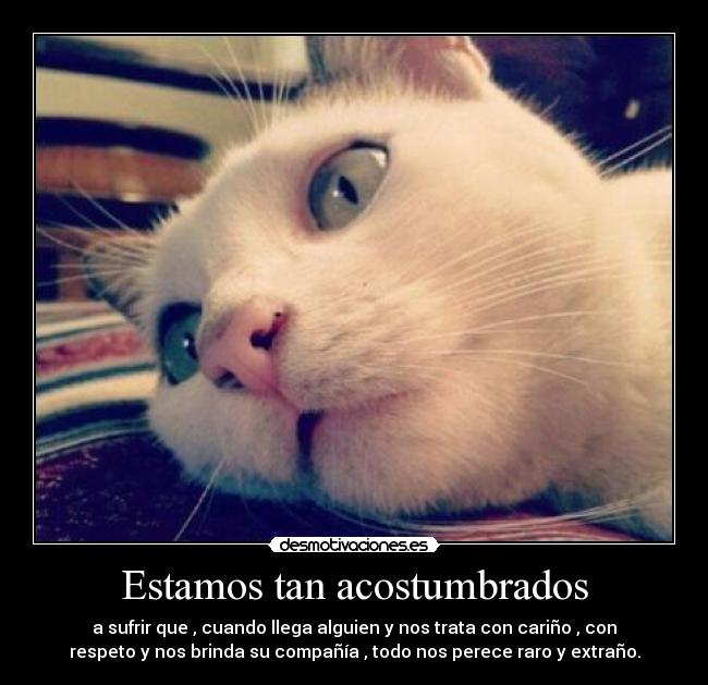 Estamos tan acostumbrados - a sufrir que , cuando llega alguien y nos trata con cariño , con
respeto y nos brinda su compañía , todo nos perece raro y extraño.