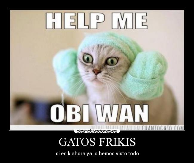 carteles gatos frikis desmotivaciones