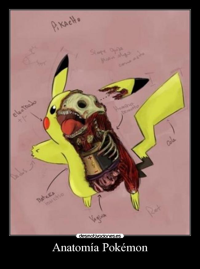Anatomía Pokémon - 